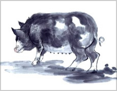 Pig painting