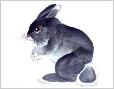 Rabbit painting