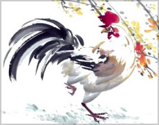 Rooster painting